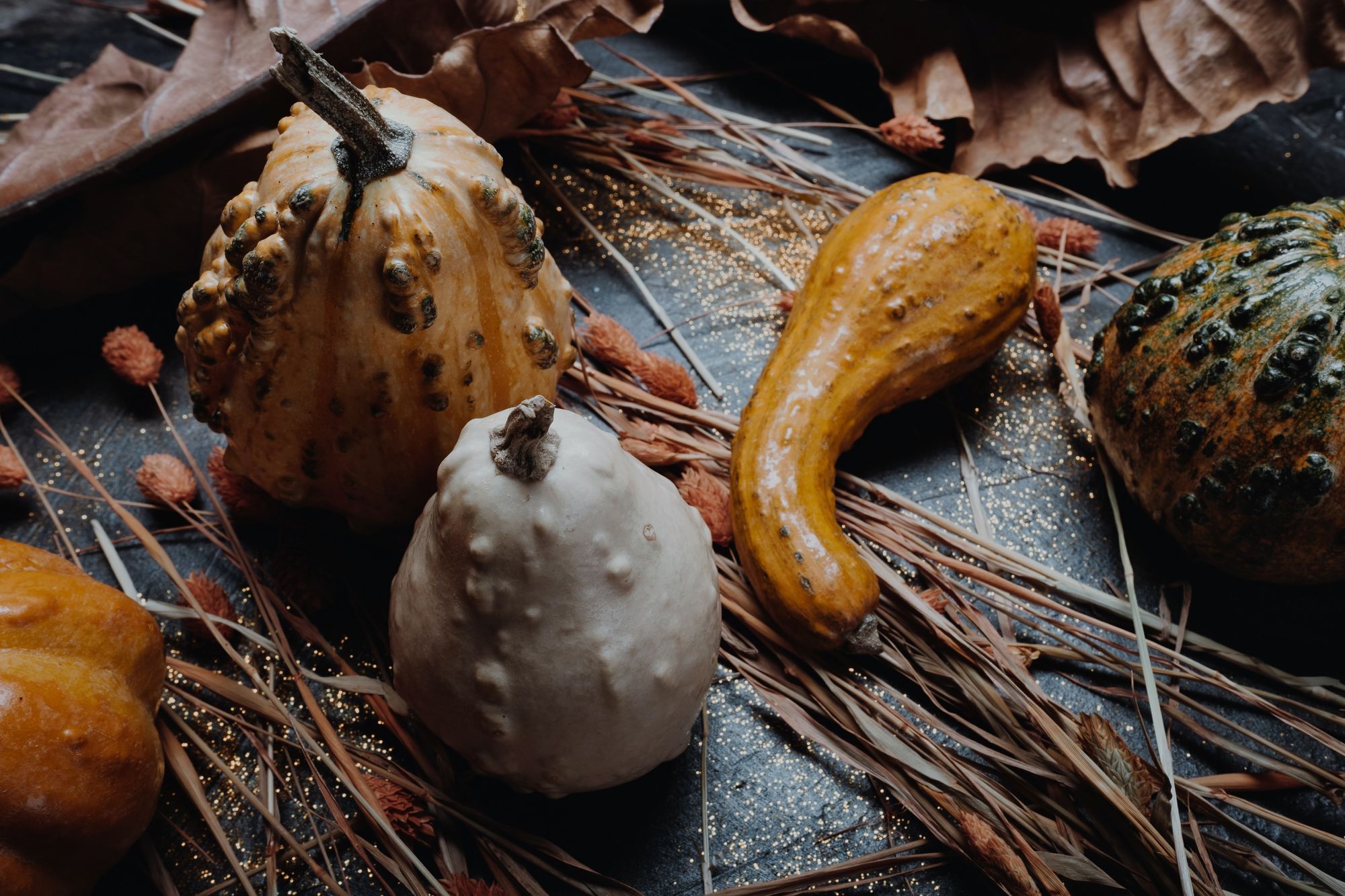What’s On Your Autumn Plate? And Is It Sustainable?