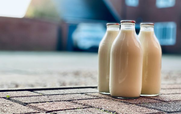 Milk – Nature’s Perfect Food – Or Is It?